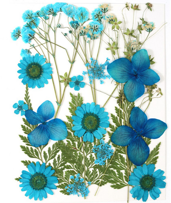 한현 DIY 대용량 압화 책갈피 만들기 종합팩 꽃모음 1장 20꽃, 1세트, HX19