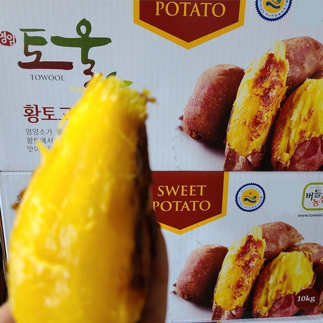 영암 토울고구마 꿀청 꿀고구마 모든 선별, 10kg 대, 1개