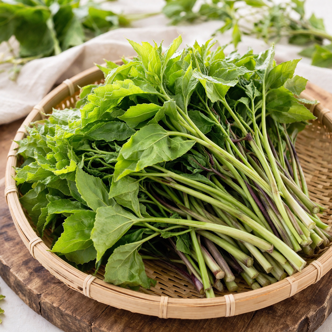 유기농 프리미엄 오가피순 봄 나물, 1개, 200g