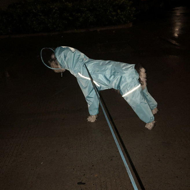 누본 강아지 바람막이 강아지우비 망토 시바견우비 모자 골든 강아지나사우비, 쿨블루 남성용