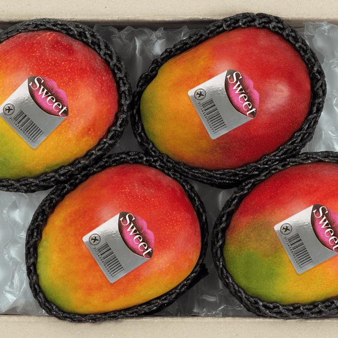 [항공직송] [당일배송] 애플망고 페루 직수입 브라질 프리미엄 대만 생망고 가정용 세트, 1박스, 1.7kg