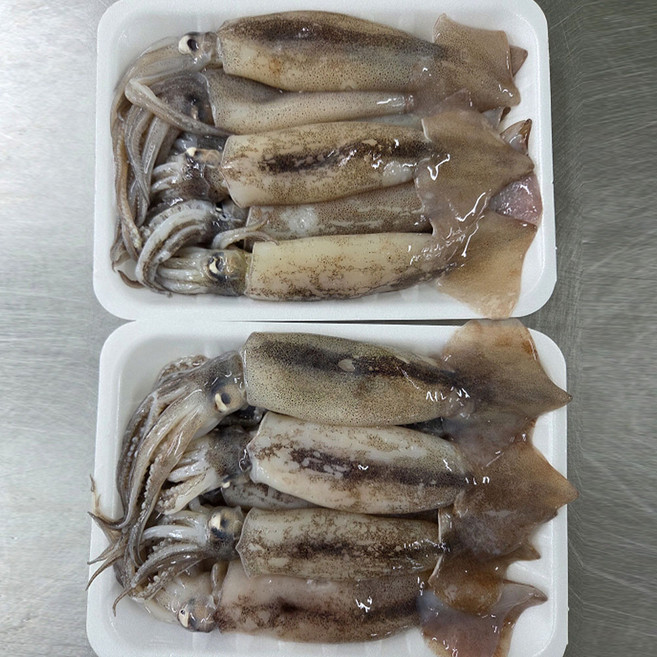 원양 급냉 초코 오징어 원양산오징어 급냉오징어 배오징어 손질오징어 냉동오징어, 2개, 500g 5-7미