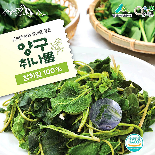 [도담들] 양구군산림조합 양구취나물 냉동 소포장 100% 국산 햇취나물 산지직송, 5개, 150g