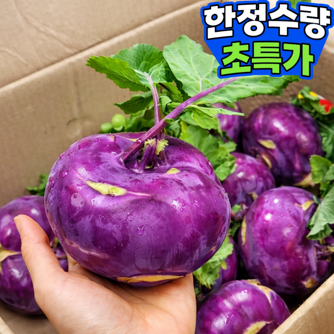 [타임초특가] 특품 제주 콜라비 고당도 프리미엄 농장 직송, 1개, 10kg