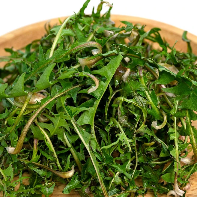 국내산 생 민들레 잎 녹즙 쌈 무침용, 1개, 1kg - 쿠팡