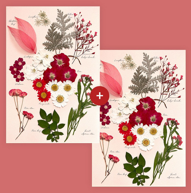 프레스코21 프리미엄 압화 레터링시리즈 마릴린레드 2Set(30p), 빨강(마릴린 레드)