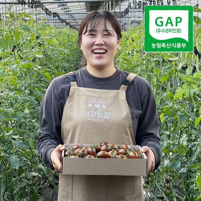 [상위1%생산자직송] 국내산 흑대추방울토마토, 1박스, 2kg
