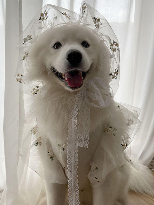 웨딩펫 화견 화동 베일 면사포 중형견 드레스 웨딩 작은 플로럴 모자 xs, 작은 플로럴 의상, 1