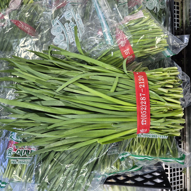 국내산 손질 부추 한단 정구지, 1개, 500g