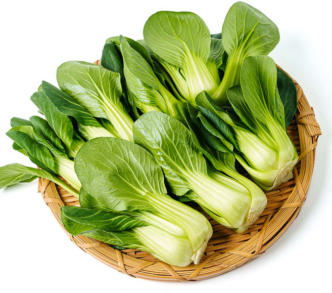 전라도청년 프레시 국내산 신선한 청경채, 1개, 1kg