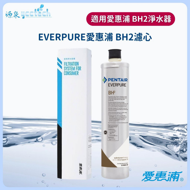 EVERPURE 愛惠浦 BH2 濾心 - 原廠公司貨 有雷標 有紙盒, 1個
