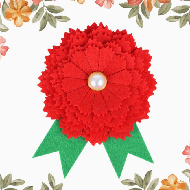 플래그잇 카네이션 DIY 재료 세트 / 유치원 어린이 부직포 꽃다발 선물, 1개, 카네이션 레드