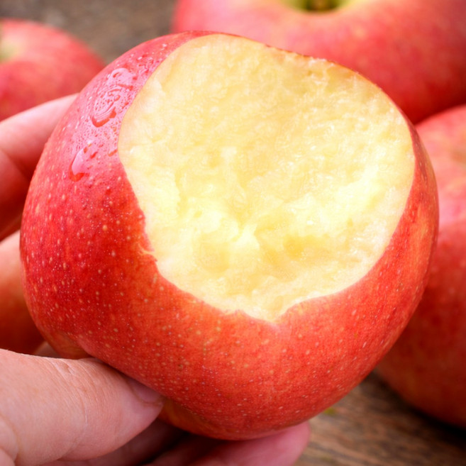 [5일간초특가] 아삭달콤신선한 청송 부사 사과, 1개, 10kg