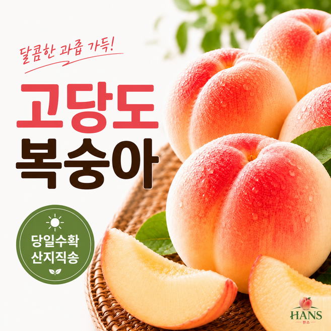 한스복숭아.고당도복숭아.부드러운털복숭아.고과즙.500g1박스, 1박스, 500g(중소과)