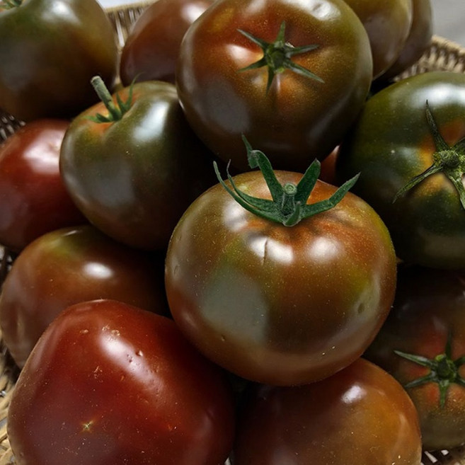 국내산 스테비아 흑토마토 쿠마토 블랙토마토 스테비아토마토 생과, 1개, 1kg
