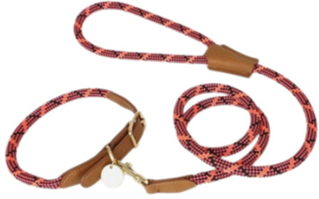 슈펫 중형견용 로프형 목줄 리드줄 세트, 1개, 핑크