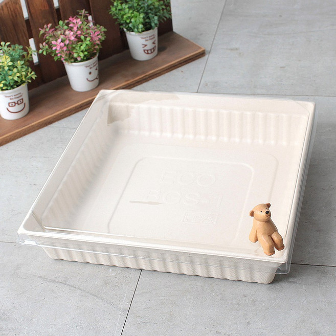 프리미엄펄프셋트 BGS-1호 친환경 펄프용기 샐러드 샌드위치 도시락세트 [50세트]