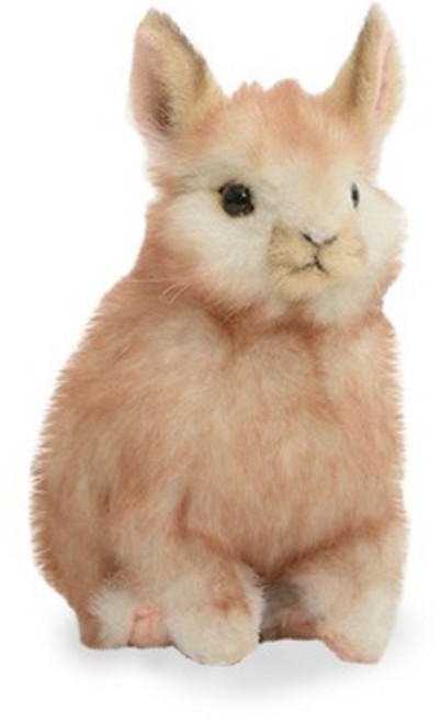 8128 피그미토끼 크림색 동물인형/18cm.L, 없음, 1개