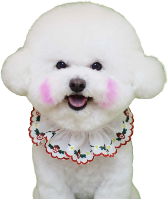 하니펫 반려동물 귀요미스카프 체리자수레이스, 빨강딸기A, 1개, .