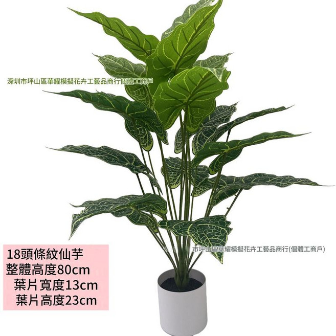 模擬綠植物樹 假花盆栽 客廳裝飾擺件 逼真, 18頭條紋仙芋 不含盆, 1件