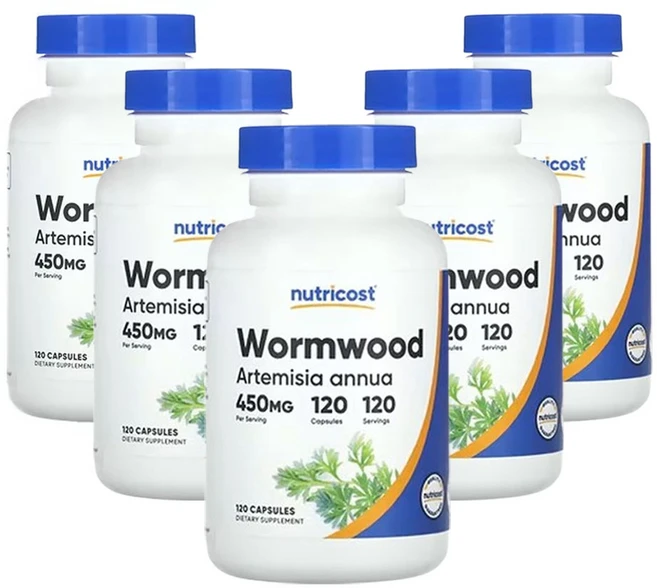 뉴트리코스트 약쑥 450mg 120캡슐, 120정, 5개 - 쿠팡