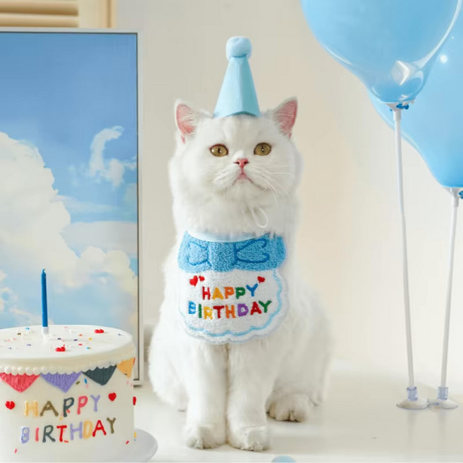강아지 고양이 생일 파티용품 꼬깔모자+턱받이, 1세트, 블루