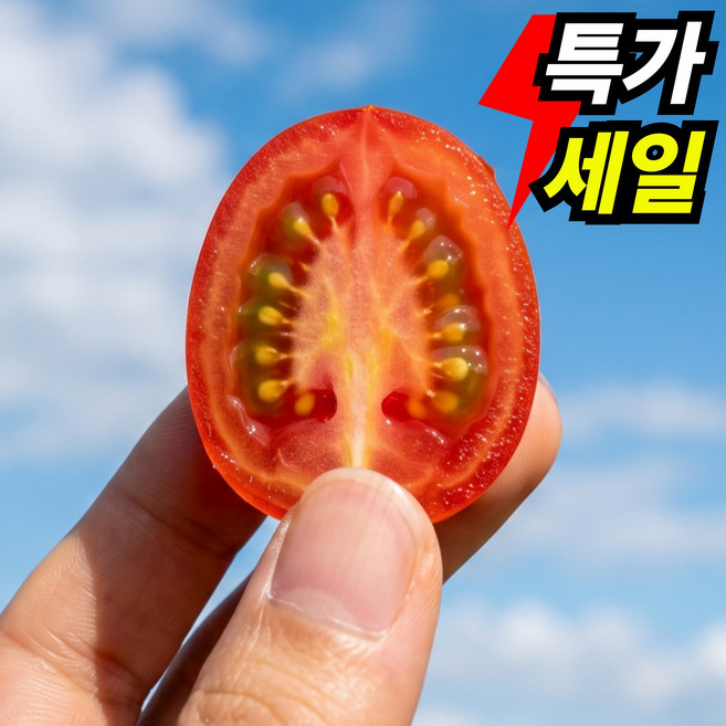 [단하루특가] 국내산 대추 방울토마토 품절임박, 1박스, 2kg (3-5번과)