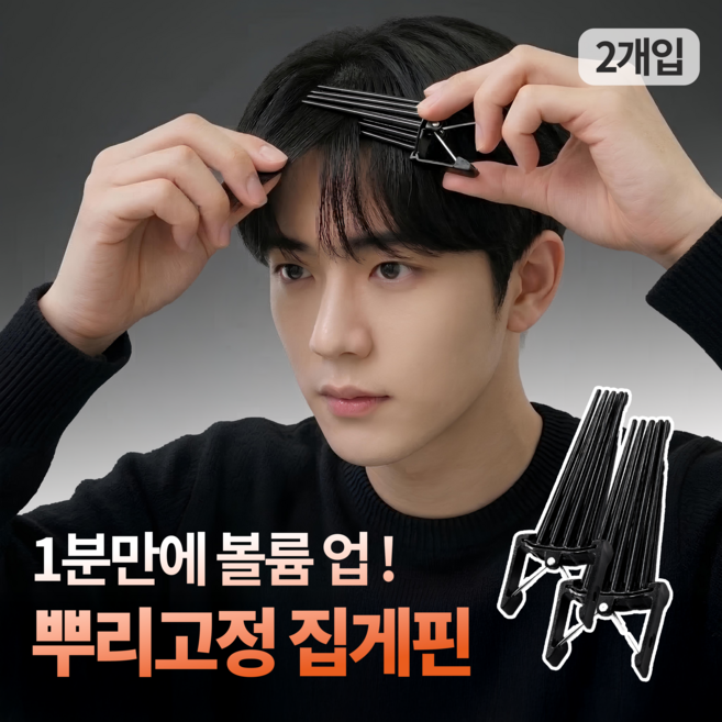 하루모음 초강력볼륨 고정 뿌리 볼륨픽 집게핀, 2개, 블랙