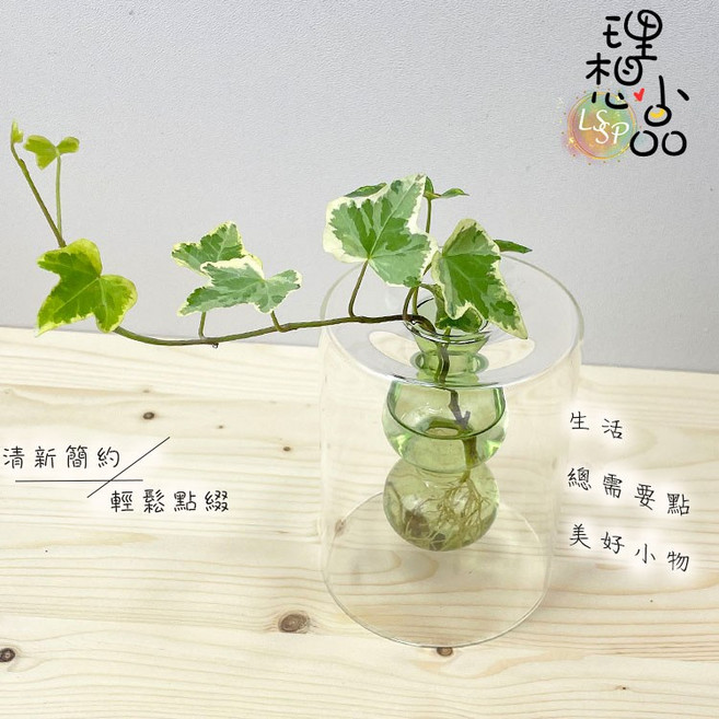 理想小品 小蠻腰 玻璃飾品 水耕盆栽, 1個, 淺粉色