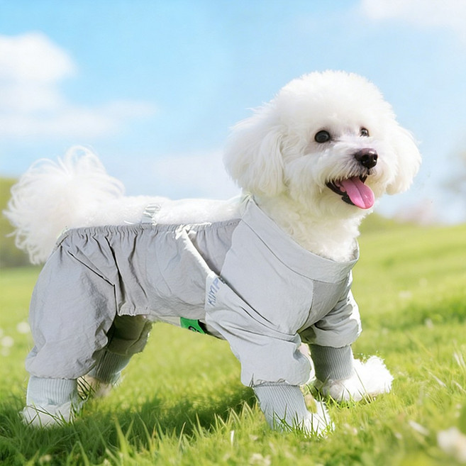 Coablu 강아지 먼지 방지 바지 야외 반려견 산책복 데일리 강아지 옷, 회색, 1개