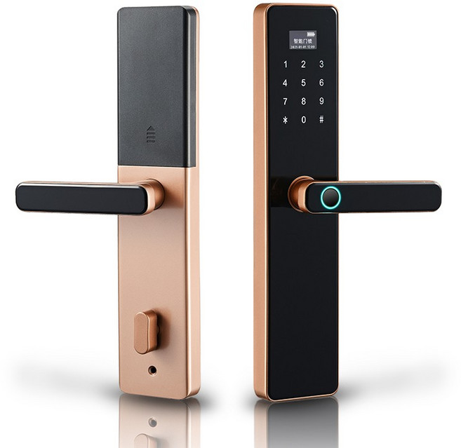 FIIDO SL2 智能指紋電子鎖，支援指紋、刷卡、密碼、鑰匙四合一解鎖, 紅