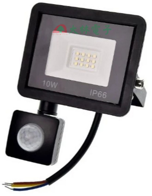 大林電子 10W IP66 石墨稀外殼人體紅外線防水感應燈 景觀造景, 1個
