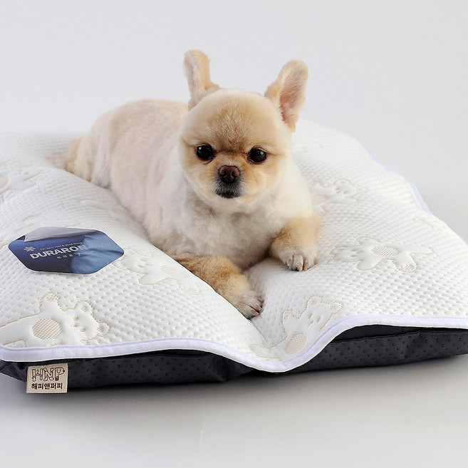 해피앤퍼피 반려동물 쿨매트 듀라론100% 강아지 쿨링젤세트, 1.듀라론화이트댄싱곰+쿨링젤세트, 1개
