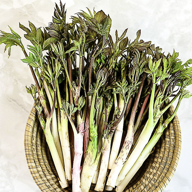 향이진한땅두릅 오늘수확한 천하별미 강원도 땅두릅, 1박스, 1kg