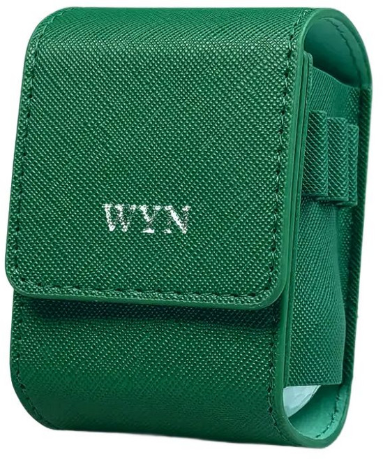 윈스튜디오 골프공 주머니 골프볼 파우치 케이스 가방 2구, 그린(실버), 1개