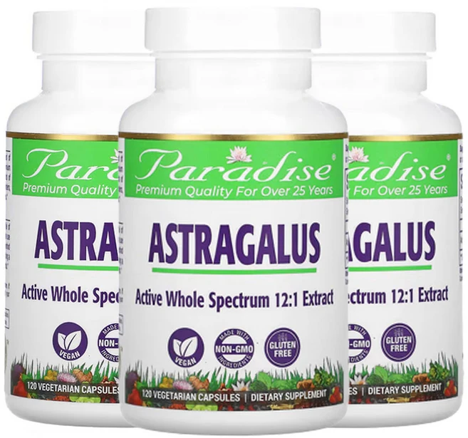 파라다이스허브 황기 베지 캡슐 120정, 3팩 - 쿠팡