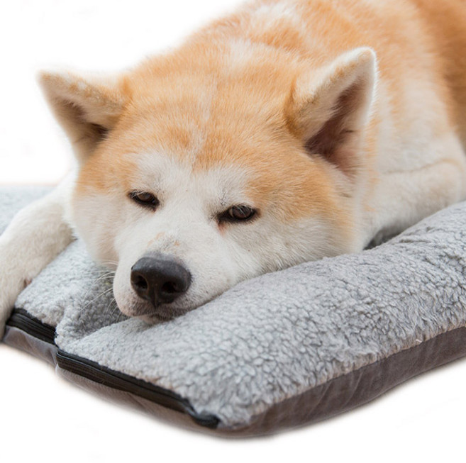 HAKKI 애견침대방석 강아지마약방석 고양이방석 10cm 양면쿠션 방석, 1개