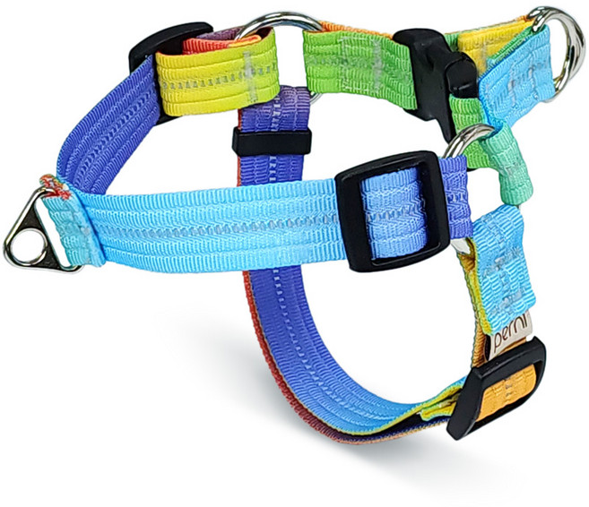 페르니 반사형 앞섬방지 강아지 하네스 가슴줄 Y형 레인보우팝 국산, 1개