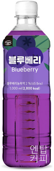 까르페 블루베리차 1000ml X 6개 액상 과일 아이스티, 1L