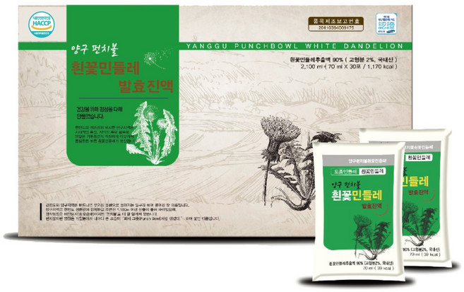 양구펀치볼흰꽃민들레, 2.1L, 1개