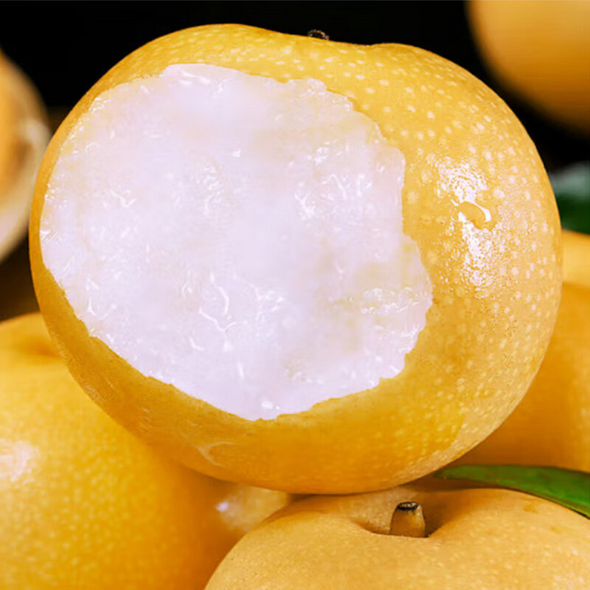 [긴급입고]주문폭주중 베테랑농사꾼 과즙콸콸 알뜰실속 나주배, 1박스, 5kg