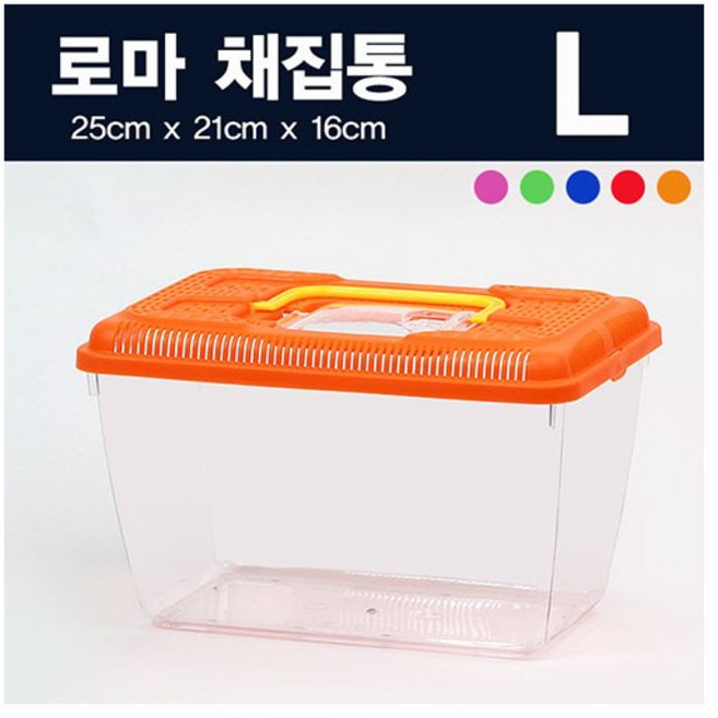 SM 로마 채집통 25cm [L], 1개