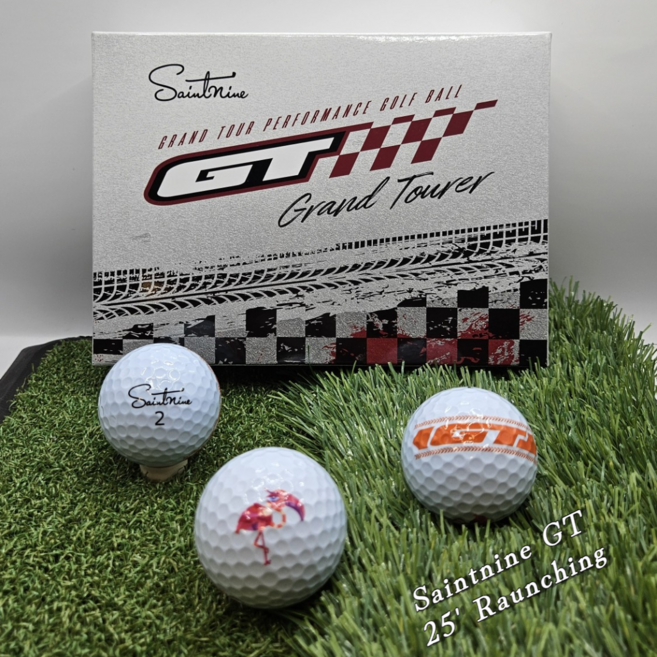 [1+1] 25년 세인트나인 GT 12구세트 3피스 골프공 4가지색 퍼팅라인