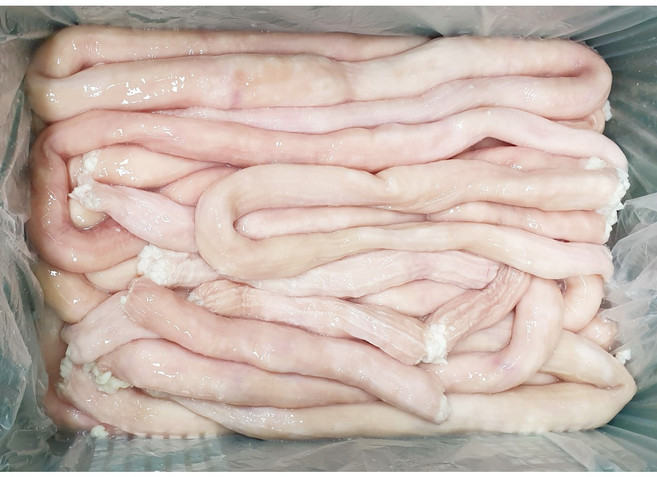 소대창 10kg 호주 구이 전골 양대창 도매 특상급 업소용 대용량 수입냉동 낙곱새, 1개