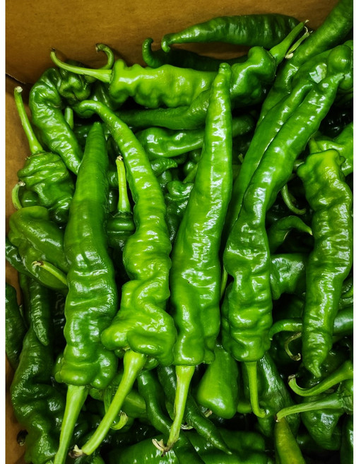 [신중국식품] 싱싱뤄스죠 중국고추 골뱅이고추, 500g, 1개