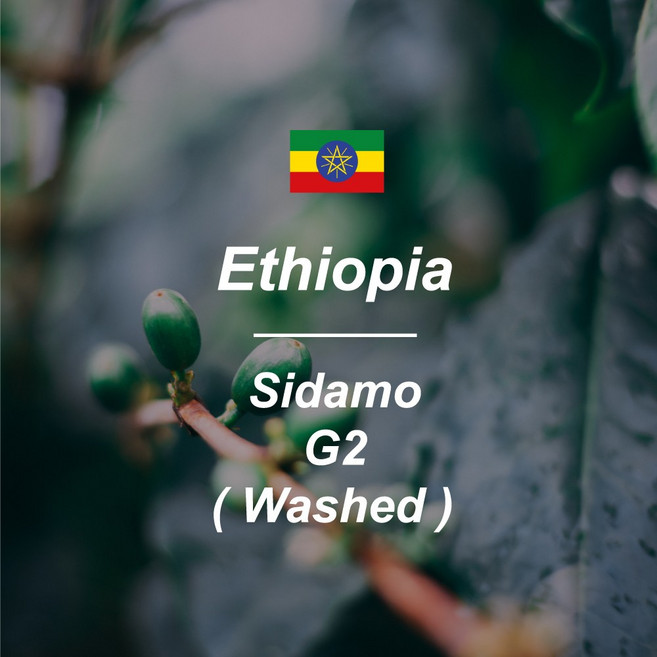 [와이엠지빈스] 25크랍 에티오피아 시다모 G2 워시드 생두 1kg, 1개