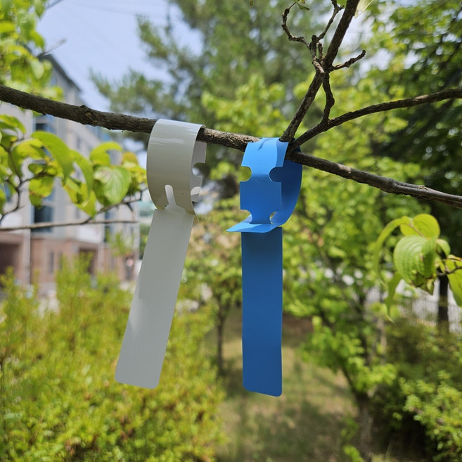 식물띠라벨 100개 나무이름표 표시사인 방수, 그린