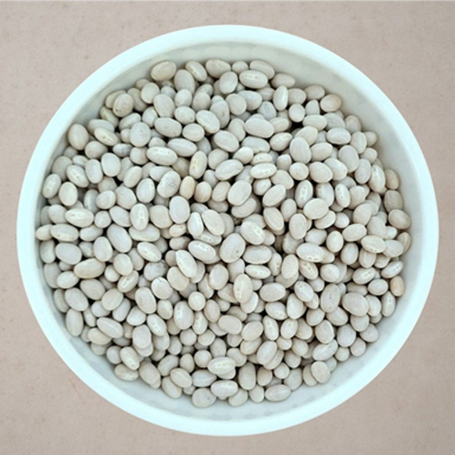 [다온농산] 수입 캐나다산 흰강낭콩[네이비빈] -2Kg- 소립, 1개, 2kg