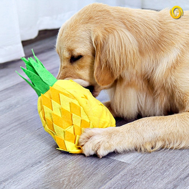강아지 간식 놀이 사료 개 장난감 새끼 강아지 분리불안 훈련