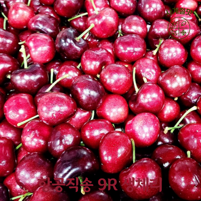 사계절맛 프리미엄 고당도 달콤함을 가득 담은 9.5R 특대 프리미엄 생체리, 1개, 3kg